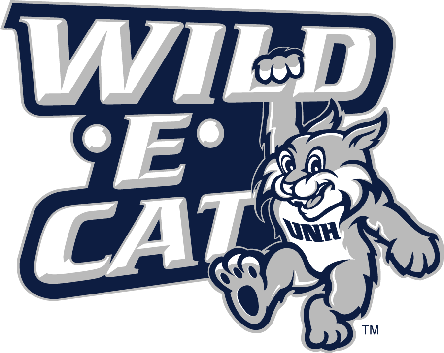 New Hampshire Wildcats 2000-2019 Misc Logo DIY iron on transfer (heat transfer)